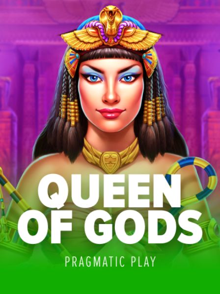 MegaWin Casino Mobile App: Play Anywhere, Anytime