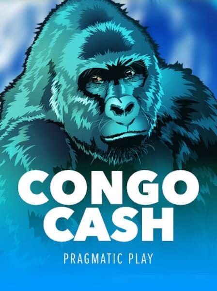 Choosing the Right Concierge Casino: Questions Every Player Should Ask