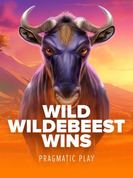 Security and Fair Play at VivaLive Casino Explained